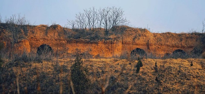 image4.jpeg